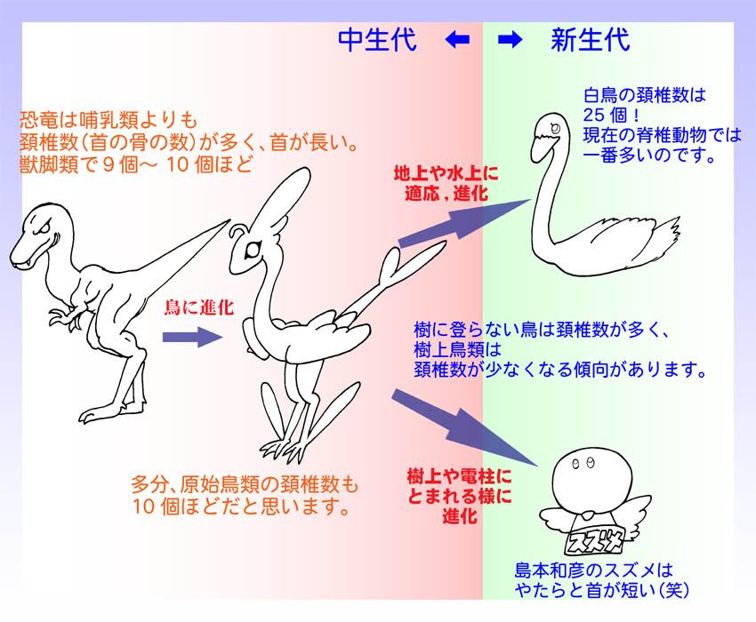 雑誌の良心 オリジナル