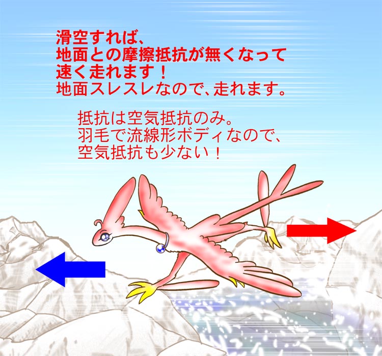 ̒R
